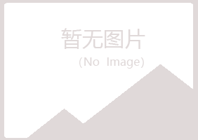 武山县夏日工程有限公司